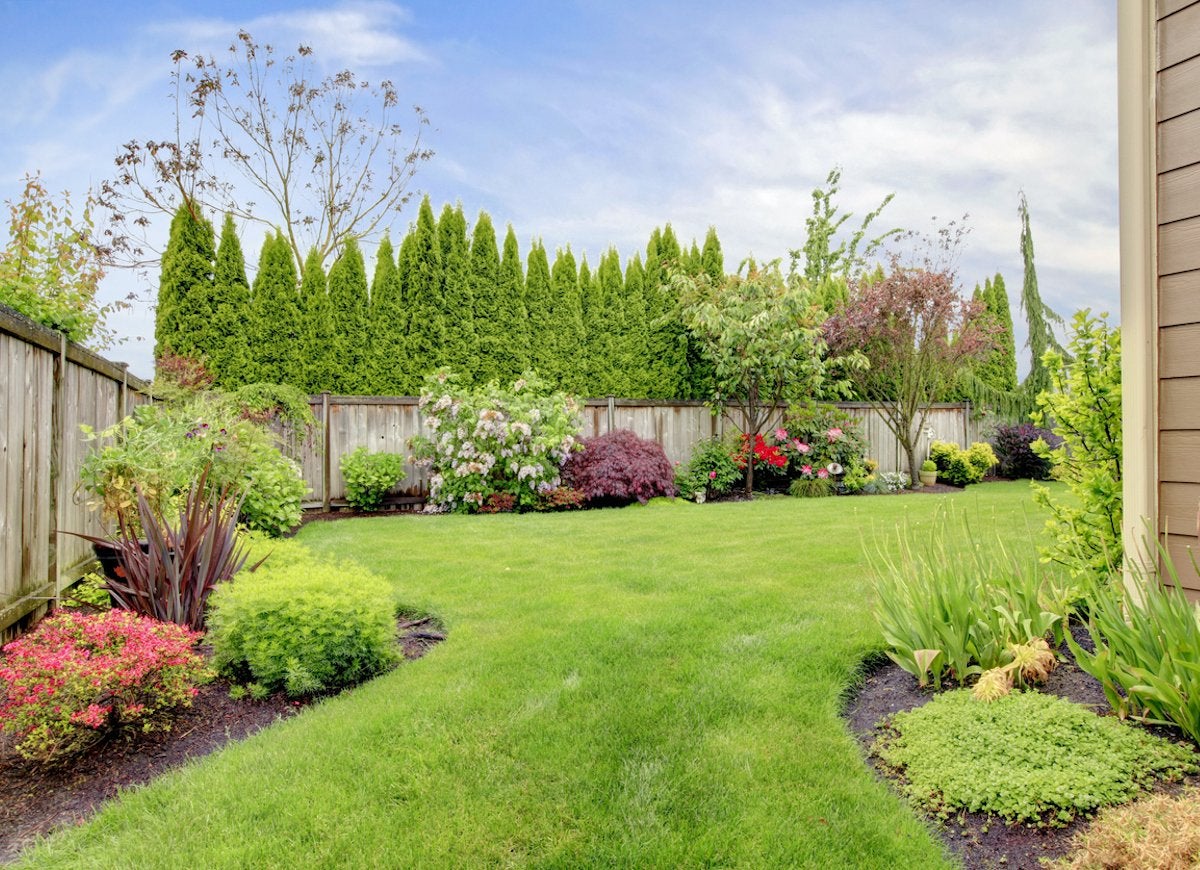 Lawn Love: A Gardening Gem Near You!